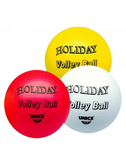 Pilota Volley holiday